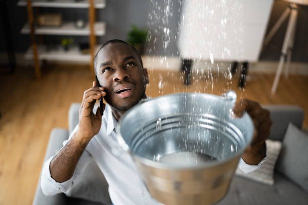 Best Water damage cleanup near me  in El Dorado, AR