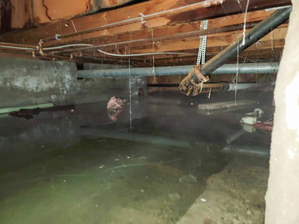  El Dorado, AR Water damage restoration Pros