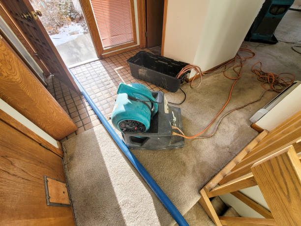 Best Professional water damage repair  in El Dorado, AR