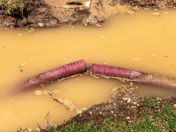 Best Flood restoration services  in El Dorado, AR